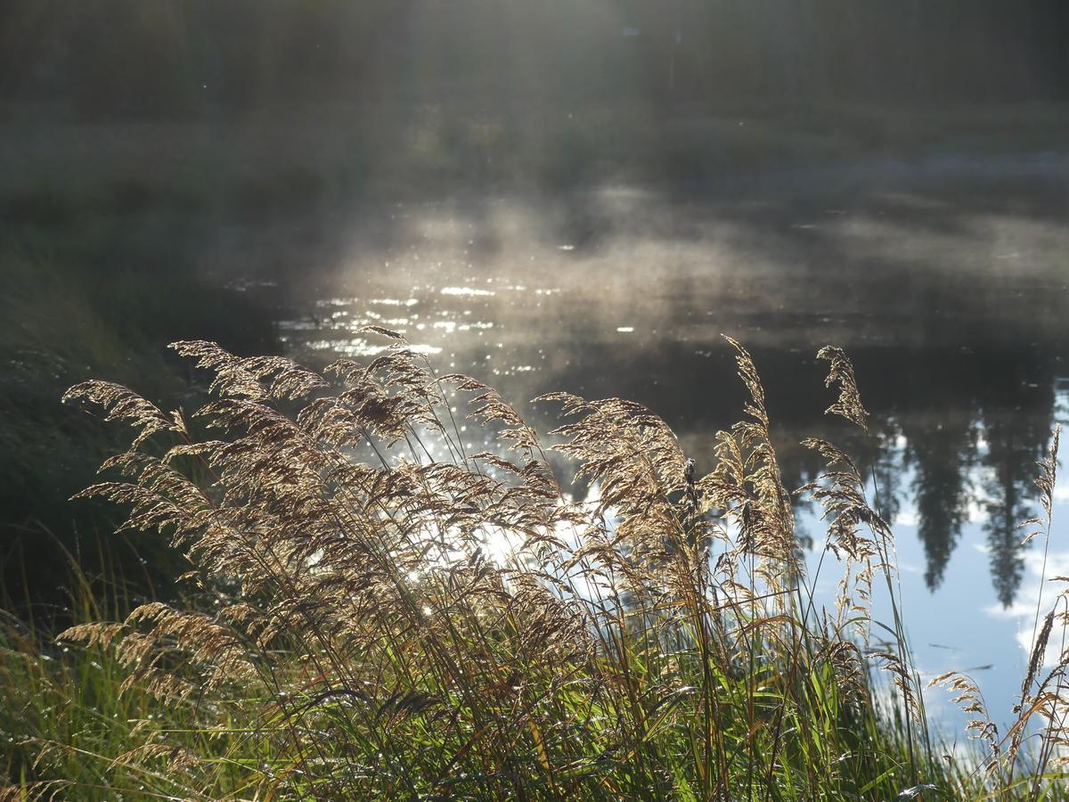 Sundre Schott'S Lake Conference & Resort מראה חיצוני תמונה
